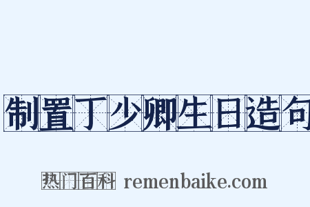 制置丁少卿生日造句是什么意思的图片